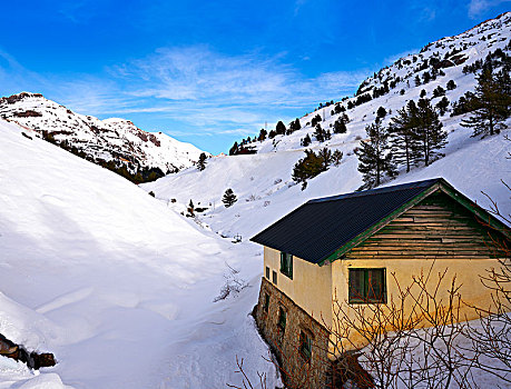 cau bach thu xskt