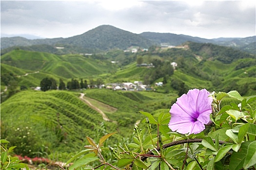 dự đoán xổ số phú yên hôm nay