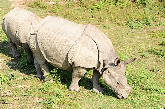cách tính lô xiên đôi