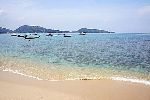 tin tức đá gà