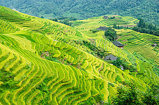 du doan xo so daklak chinh xac