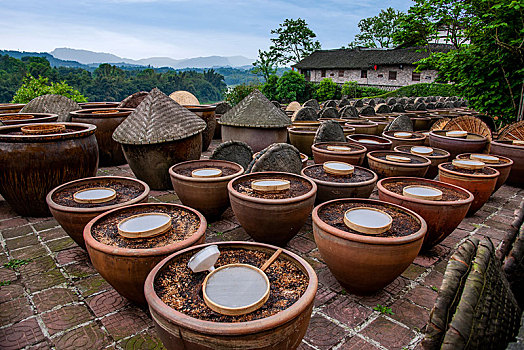 xs trực tiếp