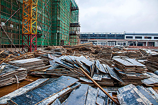 soi đề bạch thủ