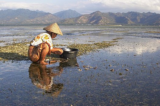dự đoán xổ số miền bắc ngày 25