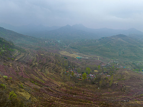 bạch thủ lo hôm nay
