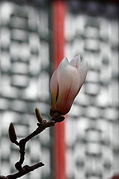 dàn đề miền bắc hôm nay