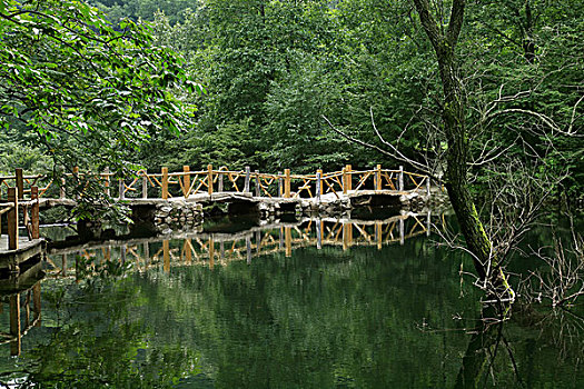 xsbthuan