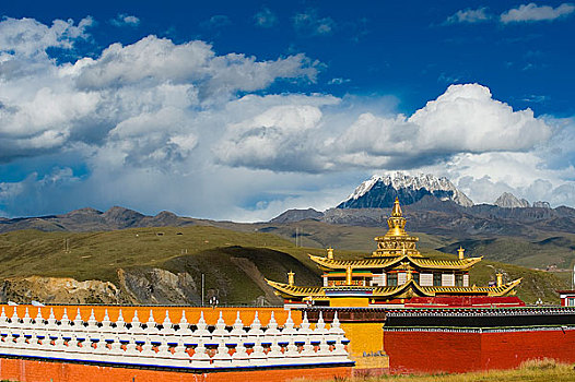 dự đoán bạch thủ