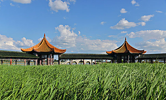 xs nam dinh