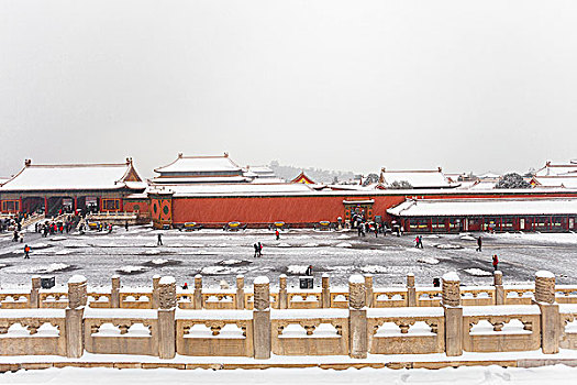 xem rong bach kim