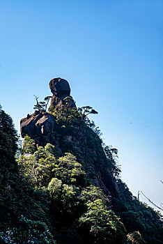 bạch thủ lô miễn phí