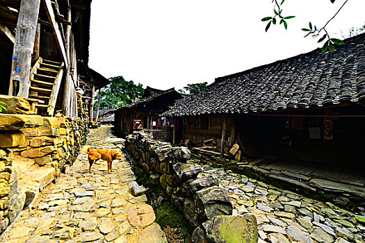 xo so tay ninh hom nay