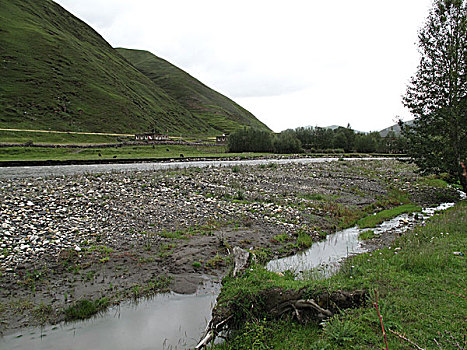 soi cau thu