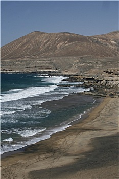 cau 247
