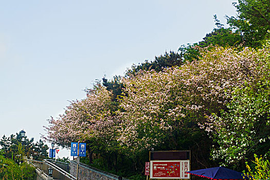 xsmb soi cau thong ke