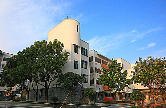 tuyet chieu soi cau