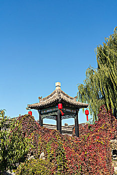soi cầu bạch thủ