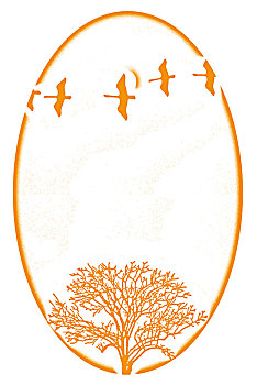soi cau xs binh dinh