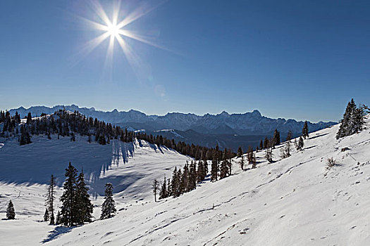 du doan bach thu
