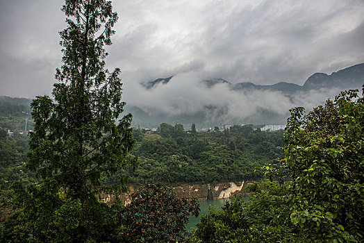 các dàn đề