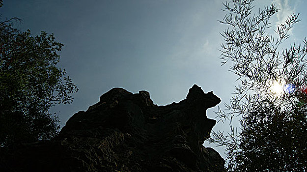 thống kê bạch thủ