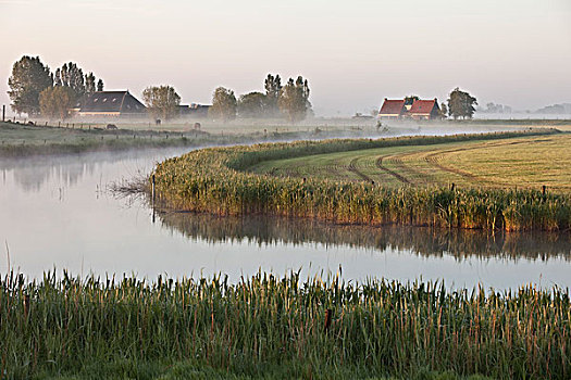 du doan
