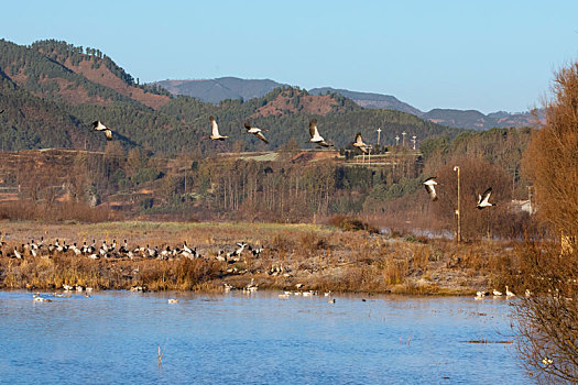 quay thử xổ số đồng tháp