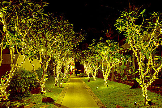 sổ kết quả