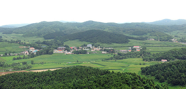 soi cau mi sa