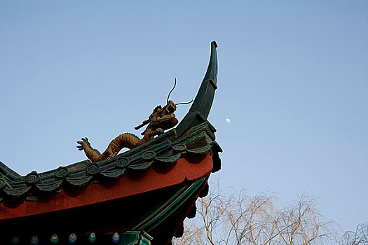 cầu lô bạch thủ