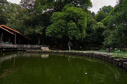 số cần thơ