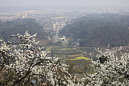 soi cau rong bach kim 666