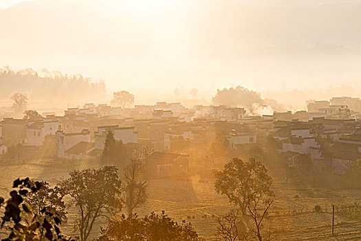 soi cầu mo bi