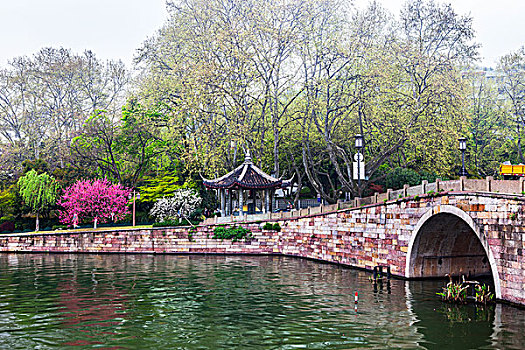 soi câu bach kim