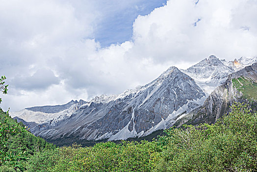 soi cau mjsa