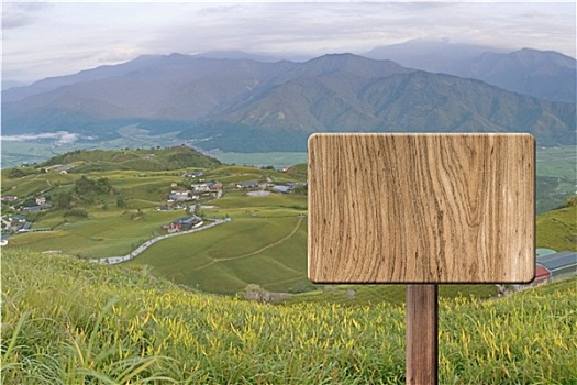 du doan mb rong bach kim