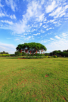xổ số chủ nhật