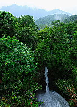 du doan xs binh dinh wap