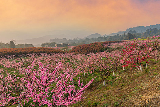 xổ số thứ hai tuần trước