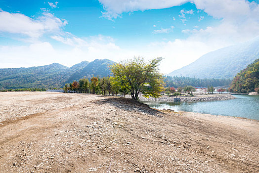 soi cau rong bach kim hom nay