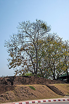 thống kê xổ số cần thơ