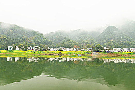 rong bach kim mb