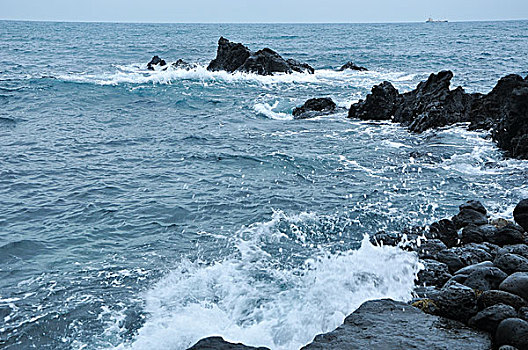 bạch thủ lô đề hôm nay