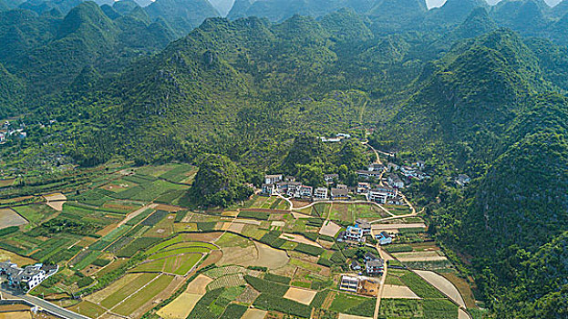 soi cau loto rong bach kim