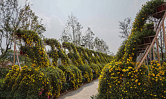 thống kê xổ số sóc trăng