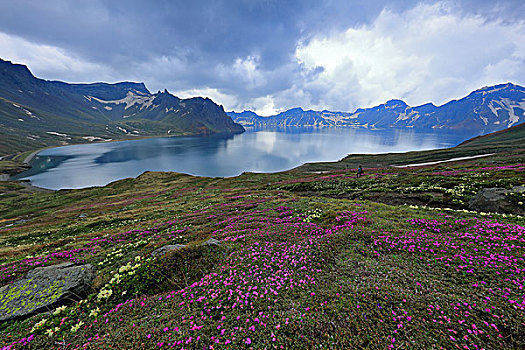 lo khung rong bach kim