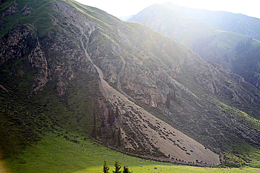 cau lo bach thu khung 5 ngay