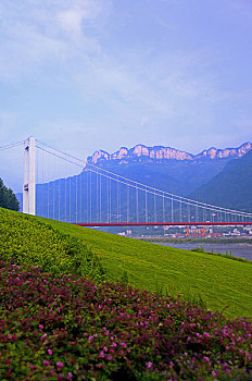 cầu lô