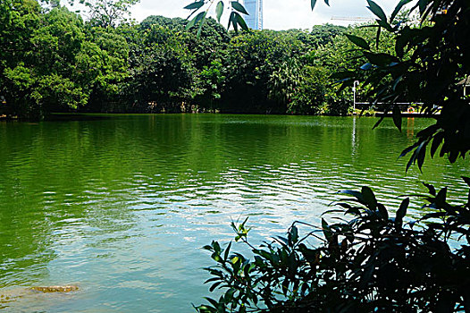 soi cầu đài phát miền nam