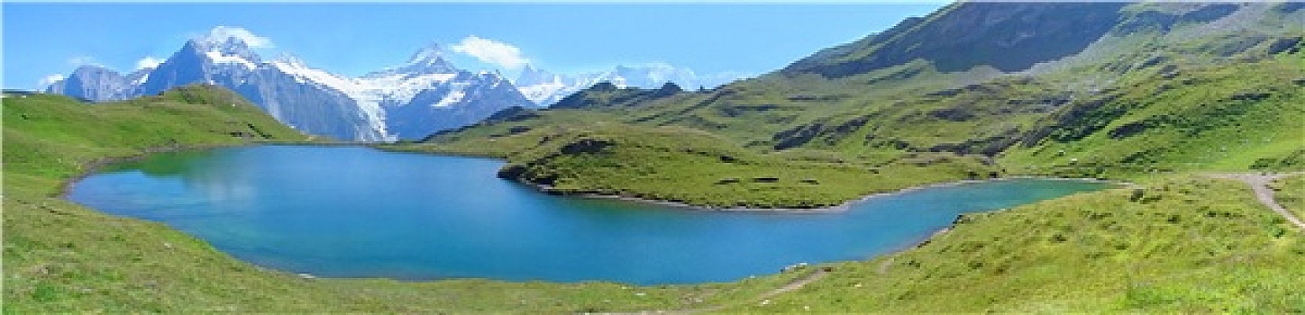 soi cau bach thu xsmb hom nay